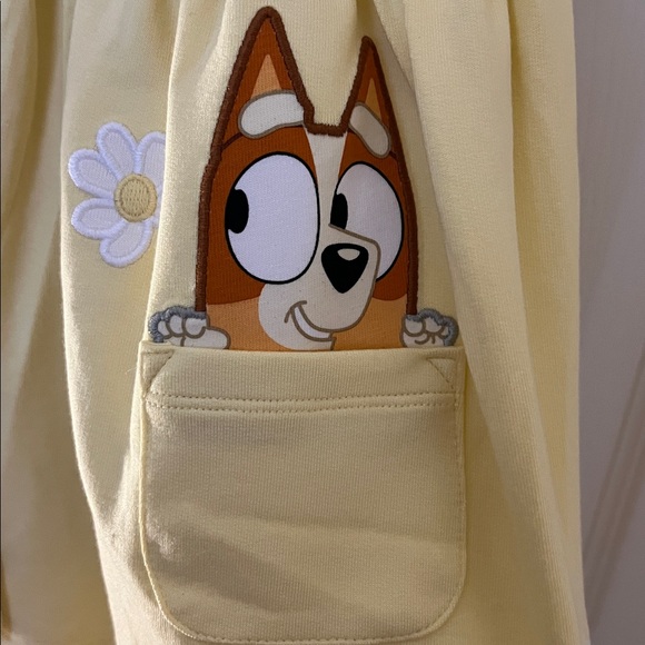 Bluey Toddler Little Sleepies Dress and Sweater Bundle NWT - Picture 5 of 16